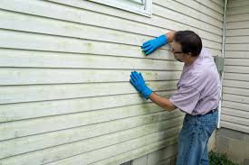 Best Storm Damage Siding Repair  in Bridge City, TX